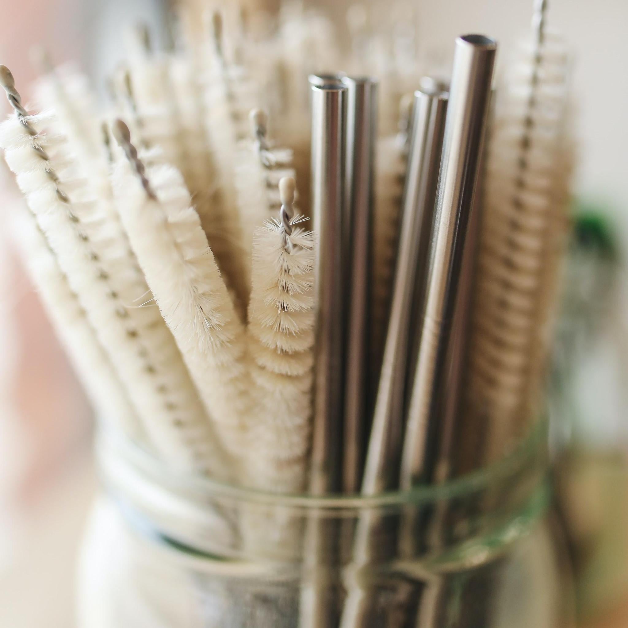 Earths Tribe | Reusable Stainless Steel Straw (single)